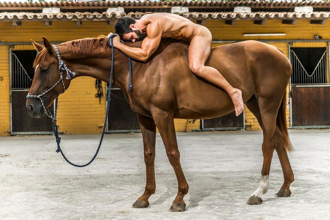 Sexo entre caballos y mujeres